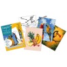 Coloriage à l'eau MagiDô x4pcs - Thème Tropical